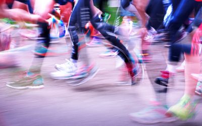 Bildungsprogramm 2020 online