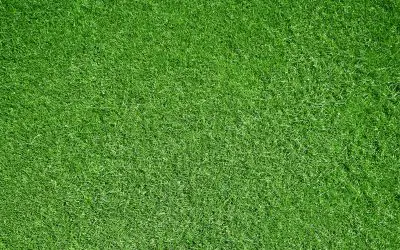 Einladung zum Forum „Rasensysteme in der Diskussion – Status quo und Perspektiven “