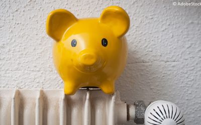 Thüga Energie: Exklusiver Vorteil für Mitglieder des Sportbundes Pfalz