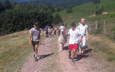 Tandemsprachkurs Deutsch-Französisch