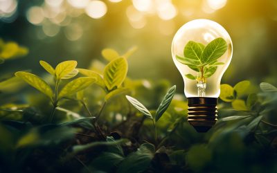 30. Mai: Kongress »Next Level: Nachhaltiger Sport«